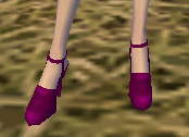 靴紫玉葱.jpg