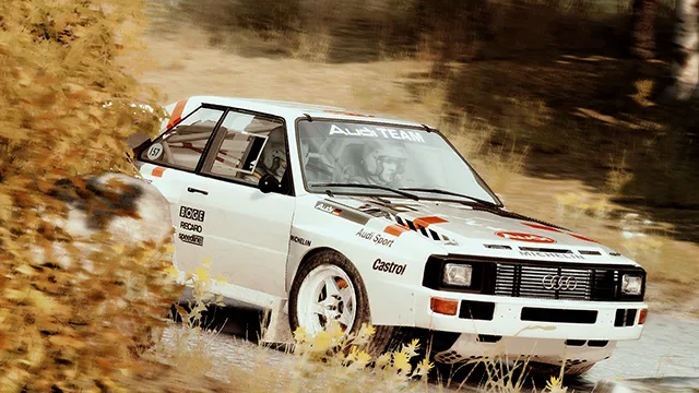 Audi Sport Quattro Rallye #157 Dirt Racing.jpg