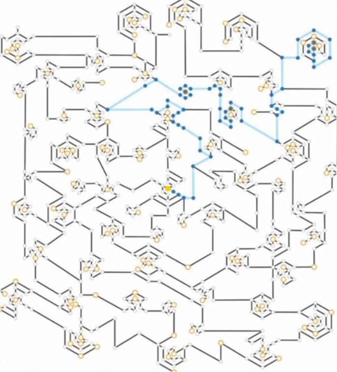 本質情報 Tの本質情報 Wiki