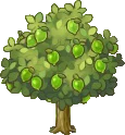 GreenLemon-Tree.png