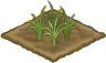 Wheat-3.png