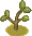 YoungPlant.png