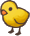 Chick.png