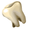 60px-Bear_Tooth.png