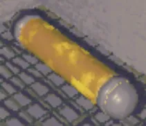 Capsule.webp Capsule.webp