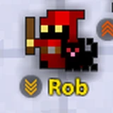 test_pet_rob.png