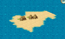 カメ島1.jpg