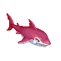 紅歯サメ.PNG
