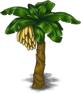 banana-palm-tree-1.png
