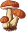 mushroom-1.png