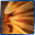 de_Rush.gif de_Rush.gif