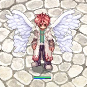 hero_wings2.jpg