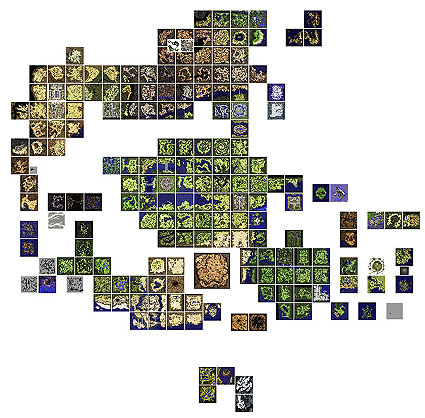 map-mini.jpg map-mini.jpg