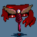 新王ブレッシュ 新王ブレッシュ