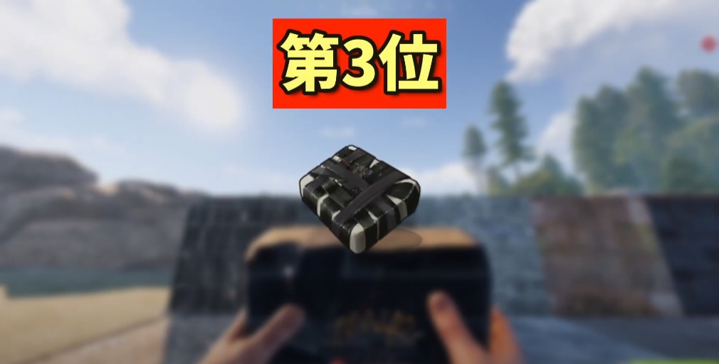 rust 24.09.29 レイド木壁1-1.jpg