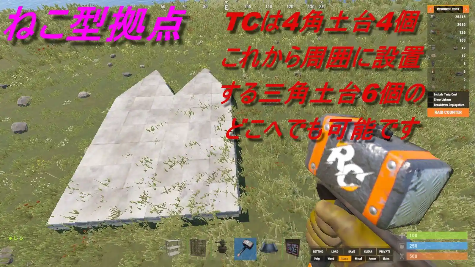 rust 24.08.27 ねこ型1.jpg