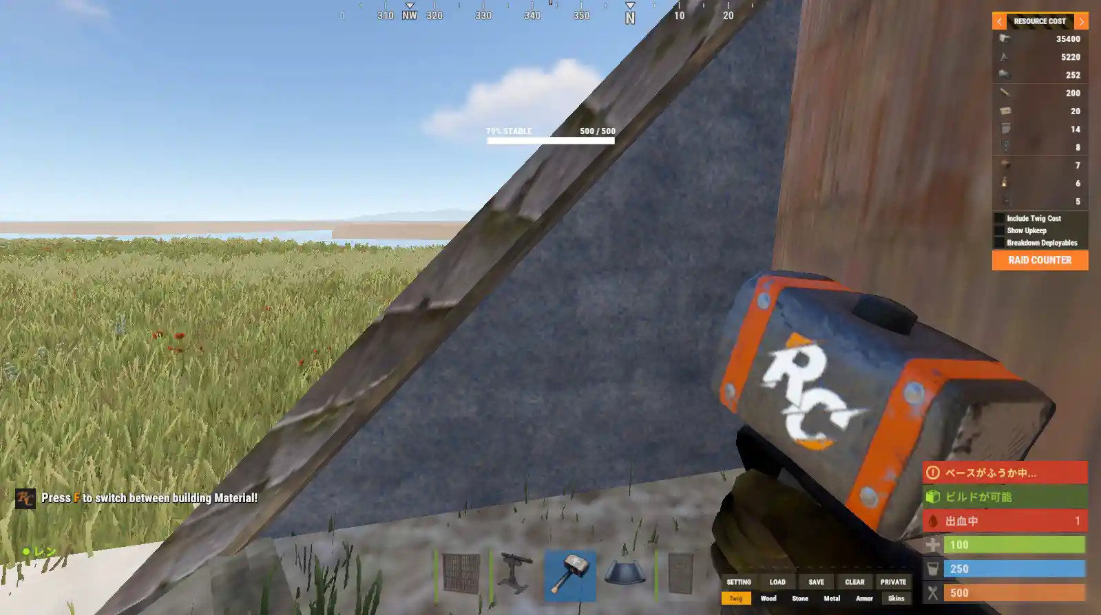 rust 24.08.27 ねこ型15.jpg