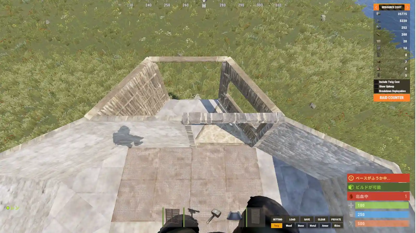 rust 24.08.27 ねこ型17.jpg