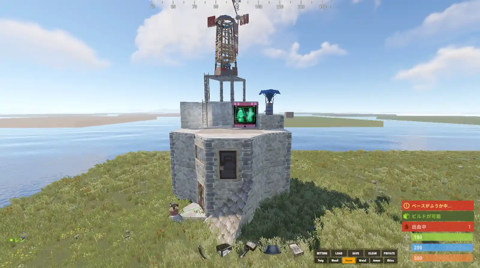 rust 24.08.27 ねこ型20.jpg