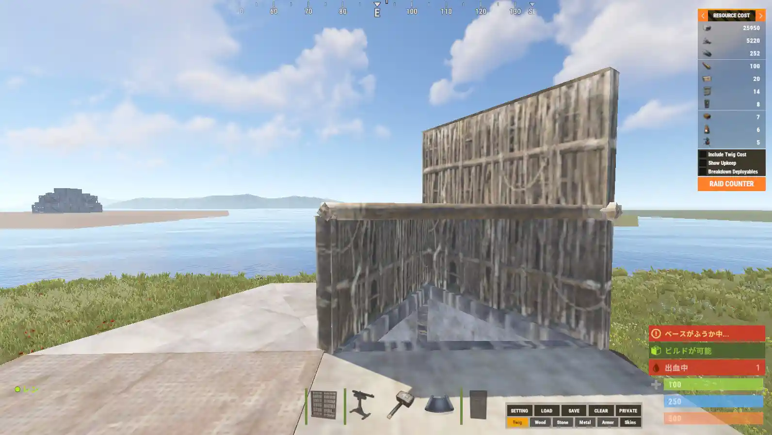 rust 24.08.27 ねこ型6.jpg