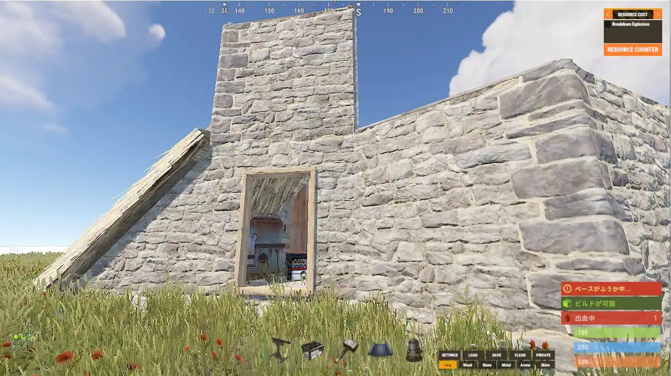 rust 24.08.28 ねこ型1.jpg