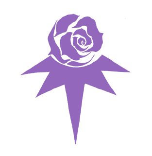 紫の薔薇と光