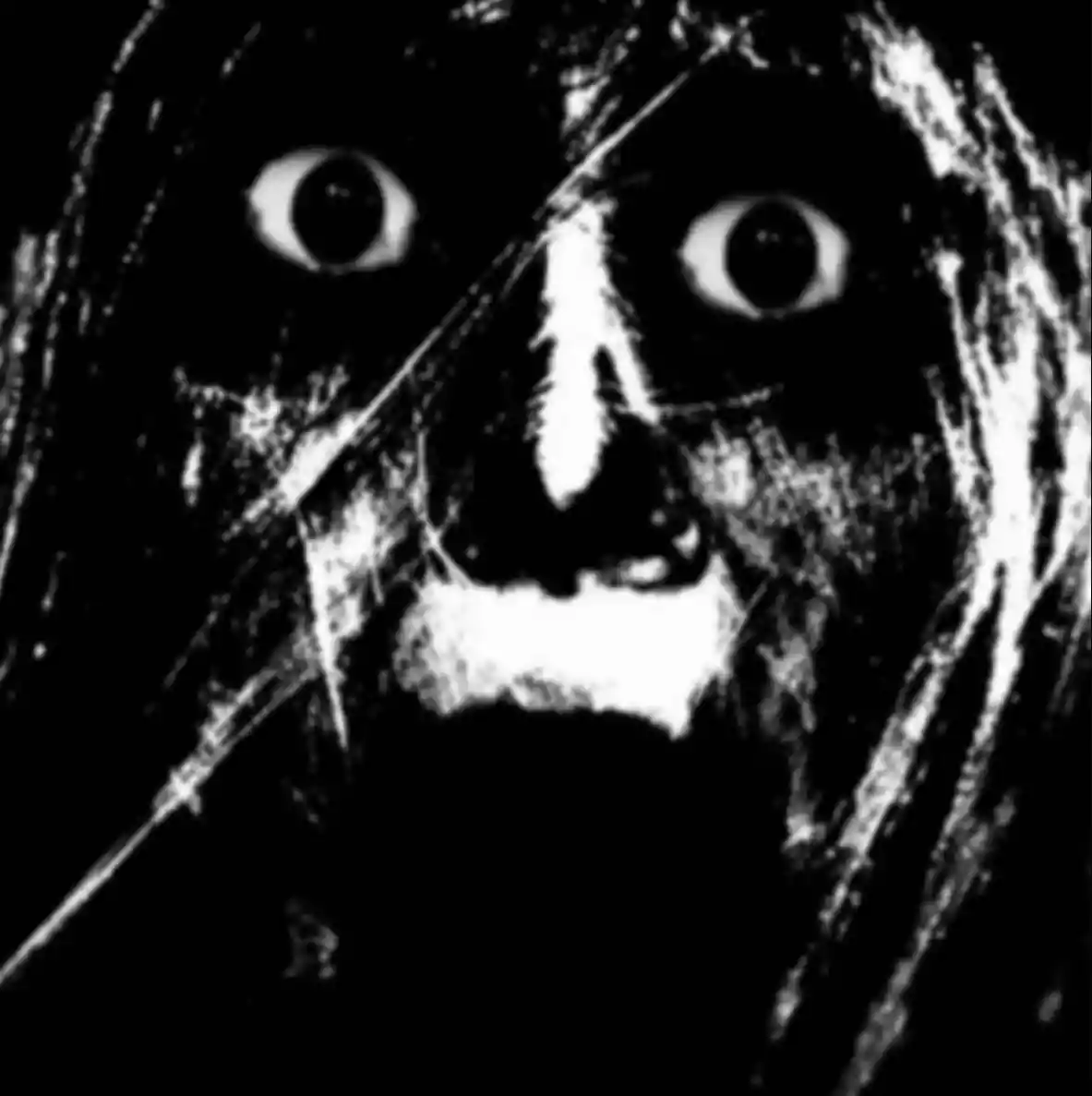 IMG_2087.jpeg IMG_2087.jpeg