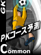 ＰＫコース予測.png