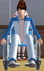wheelchair_stop.png