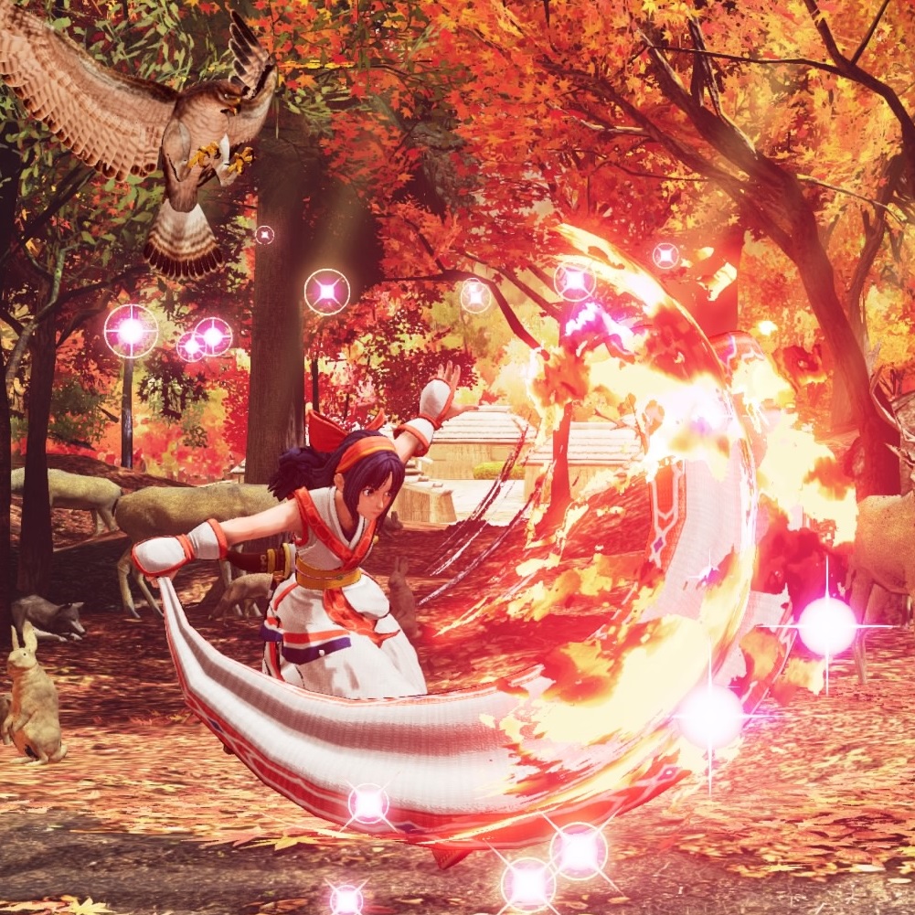ナコルル Samurai Spirits User S Wiki ナコルル Samurai Spirits User S Wiki