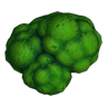 Broccoli_icon.png