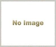 no_image.jpg no_image.jpg