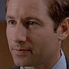 David Duchovny as Fox Mulder