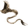 電気海蛇(雑魚)