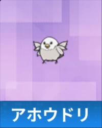 アホウドリ.png