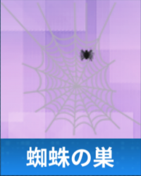 蜘蛛の巣.png