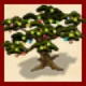 クリスマスの松の木.png