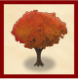 紅葉の木「参」.png