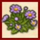 紫色の野菊.png