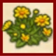 黄色の野菊.png