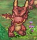 dragon_komodo.jpg dragon_komodo.jpg