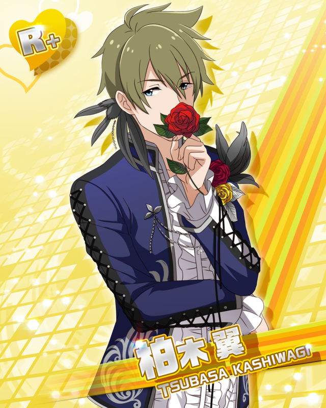 カード 柏木 翼 アイドルマスターsidem Wiki カード 柏木 翼 アイドルマスターsidem Wiki