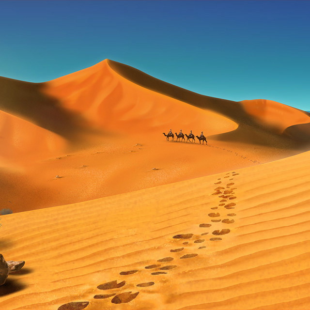 The Desert kings Live 背景2.jpg