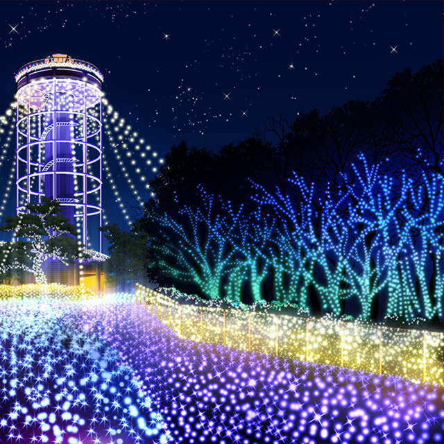 Winter Illumination 2017 背景1.jpg