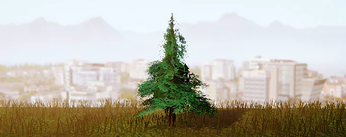 trees-anywhere.jpg