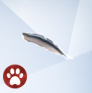 Heron-Feather.png