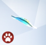 Parrot-Feather.png