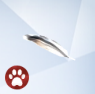 Seagull-Feather.png