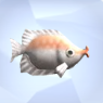 KissingGourami.png