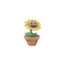 sunflower.png